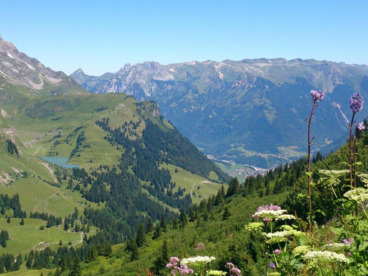 Diese Einfache Unterkunft- Bergheimat Ist Nur Fuer Backpacker- Rucksacktouristen Und Radfahrer - Huettenfeeling Im Backpackerhoues- Ganz Einfach - Ganz Unkompliziert - Ganz Relaxd Villa Linthal Exteriör bild